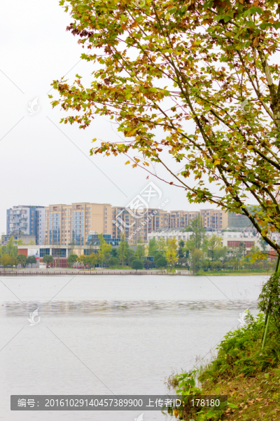 湖岸水景