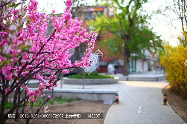美麗的小區(qū)