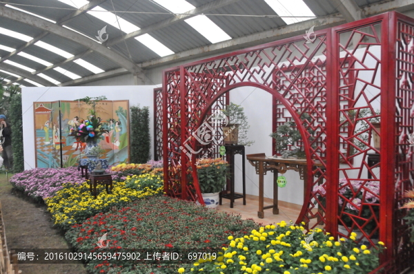 上海菊花展
