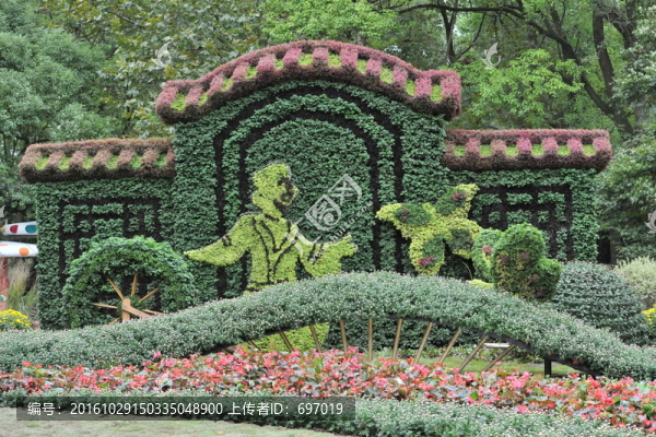 上海菊花展