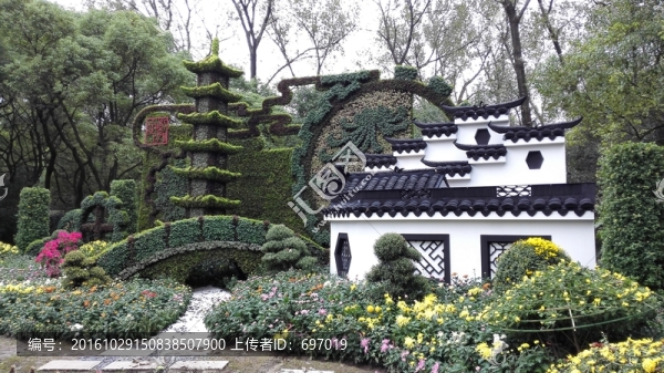 上海菊花展