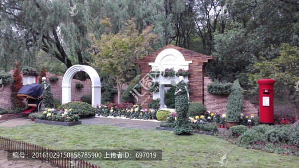 上海菊花展
