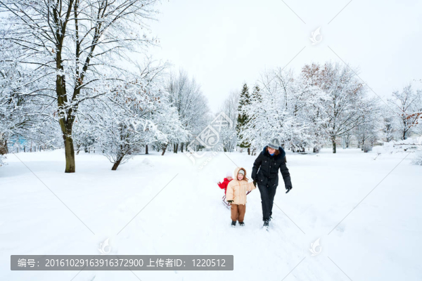 家庭在冬季公園