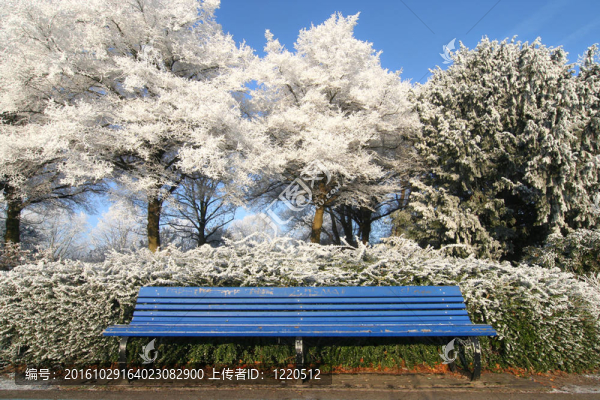 公園里的長凳