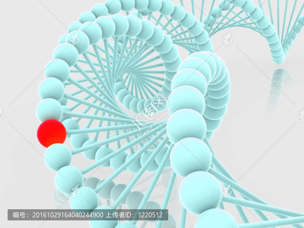 基因在DNA