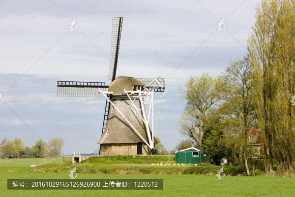 風(fēng)車附近broeksterwoude；Friesland；荷蘭