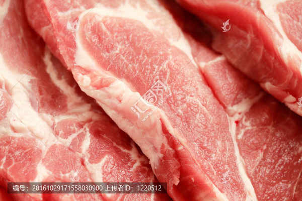 原料肉