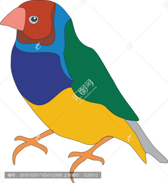 Parrot色01