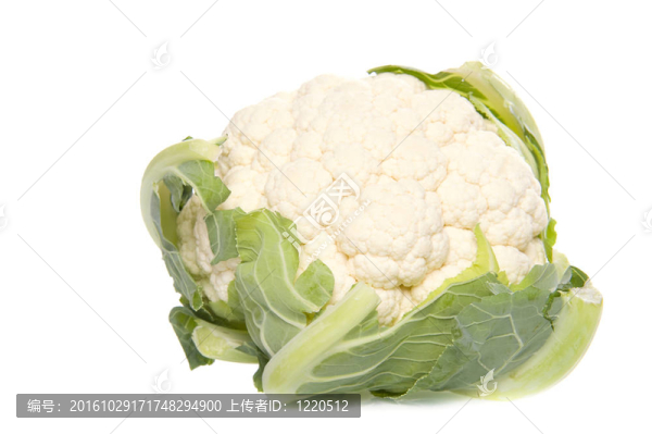 土豆