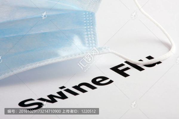 甲型H1N1流感病毒