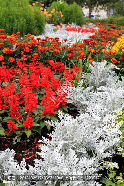 flowerses花園