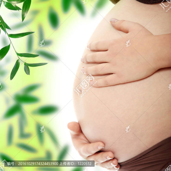 孕婦的肚子
