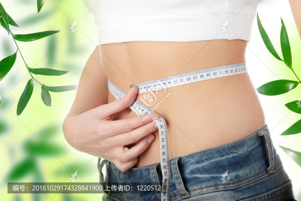 性感；合體；女性測量