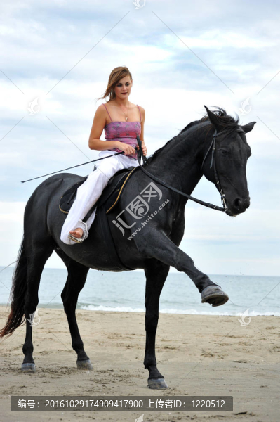 海灘上的女孩和馬