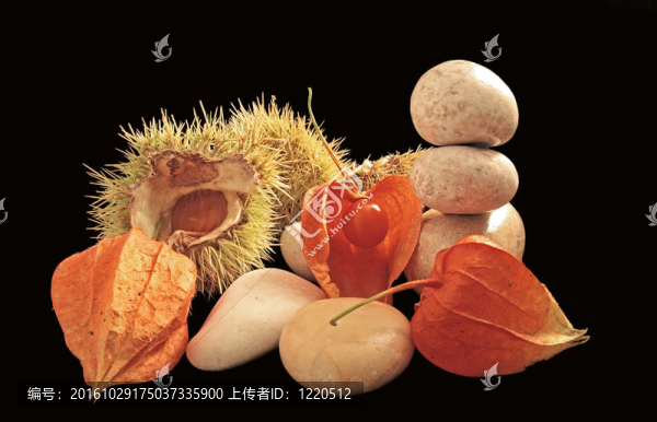 秋季插花
