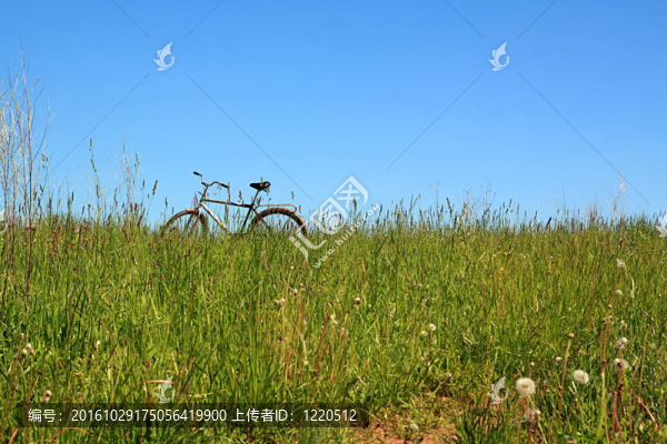自行車(chē)場(chǎng)