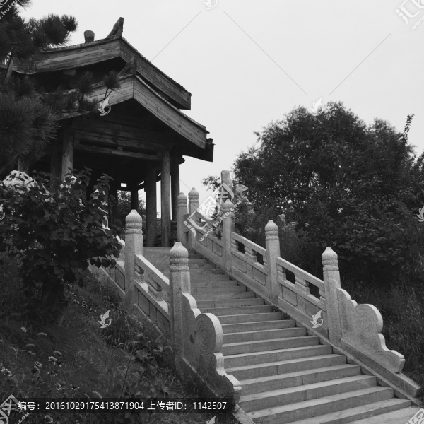 亭子,公園,園林