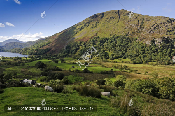 gwynant,Llyn
