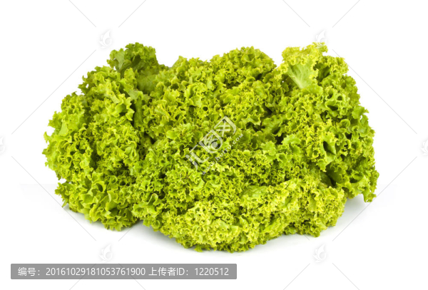 生菜