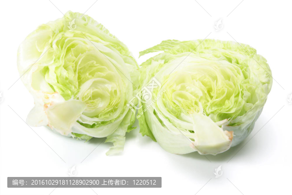 生菜