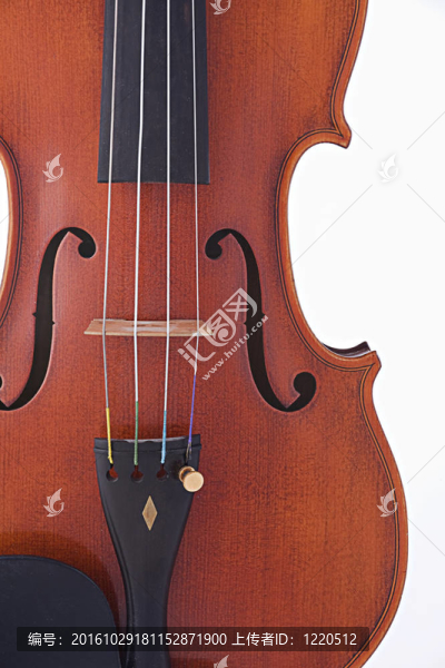古董Violin,Viola孤立White