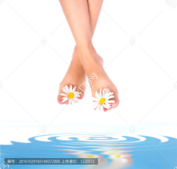 女人的腿