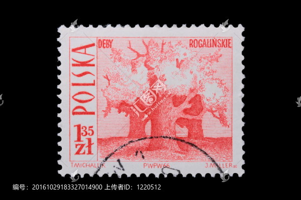 波蘭-大約1966：郵票-,Deby,Pogalinskie