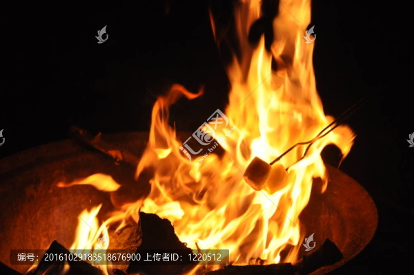 篝火的火焰