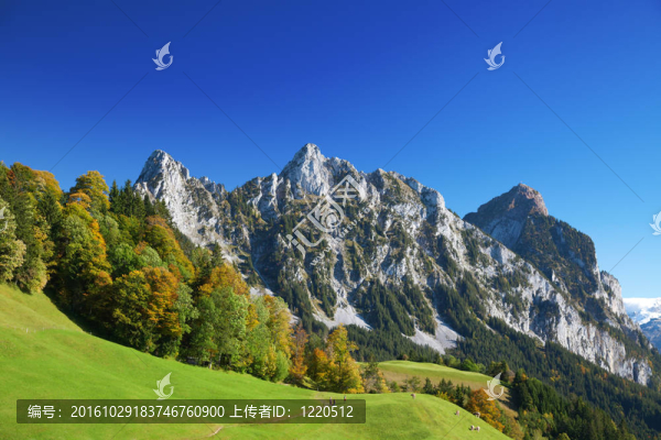 在阿爾卑斯山脈的秋天