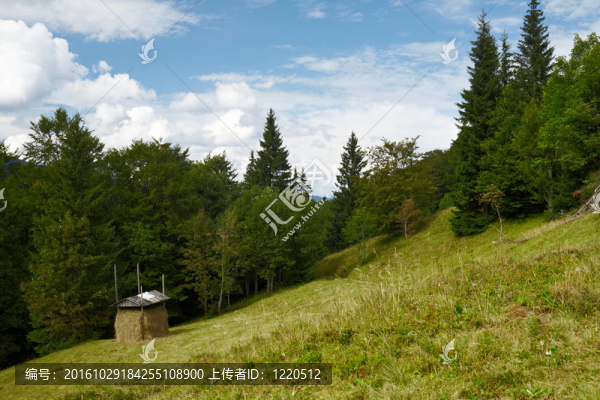 夏天mountine