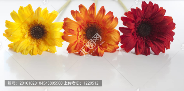 人工花卉排隊(duì)