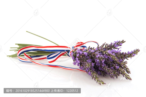 薰衣草花束