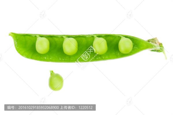 豌豆莢