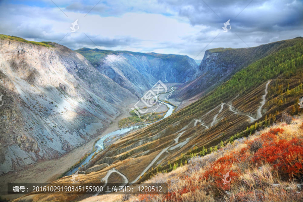 autumnn山