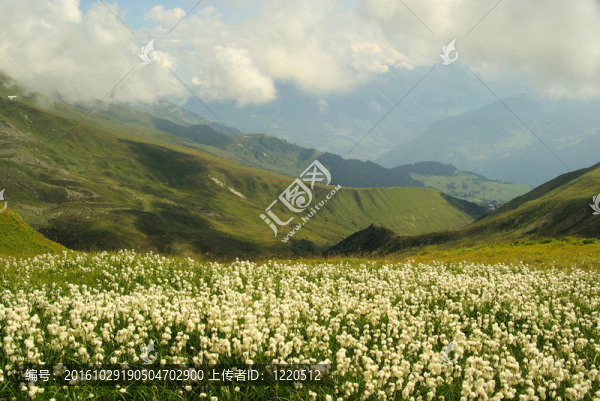 徒步旅行到山Furgler,15