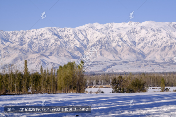 雪景