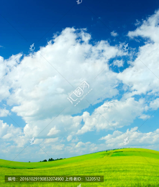 青山