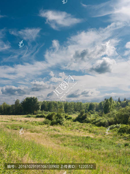 夏天的風(fēng)景。