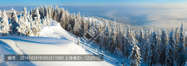 雪冬全景景觀
