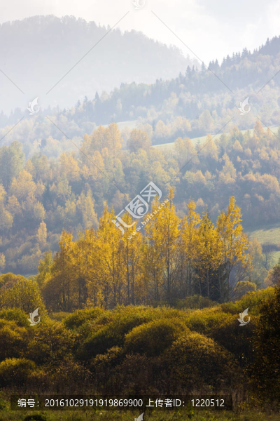 Nizke,Tatry（Low,Tatras）；斯洛伐克