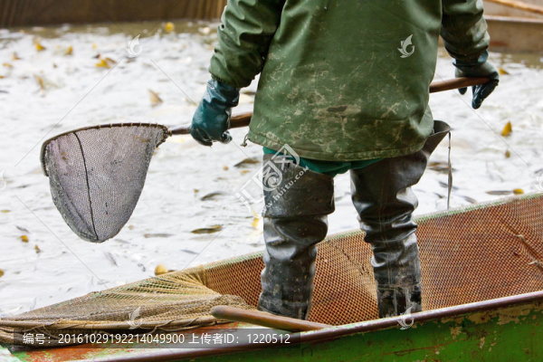 雨池