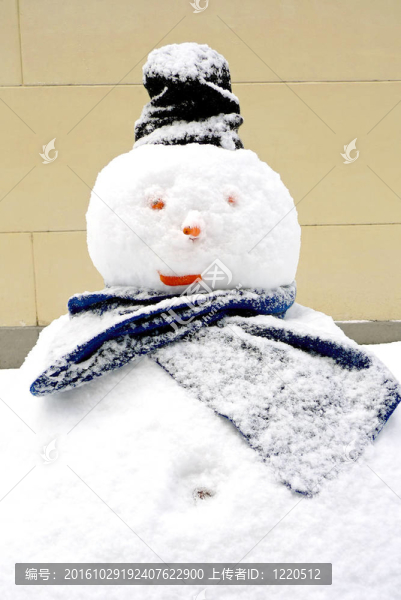 帶黑帽子的胖雪人