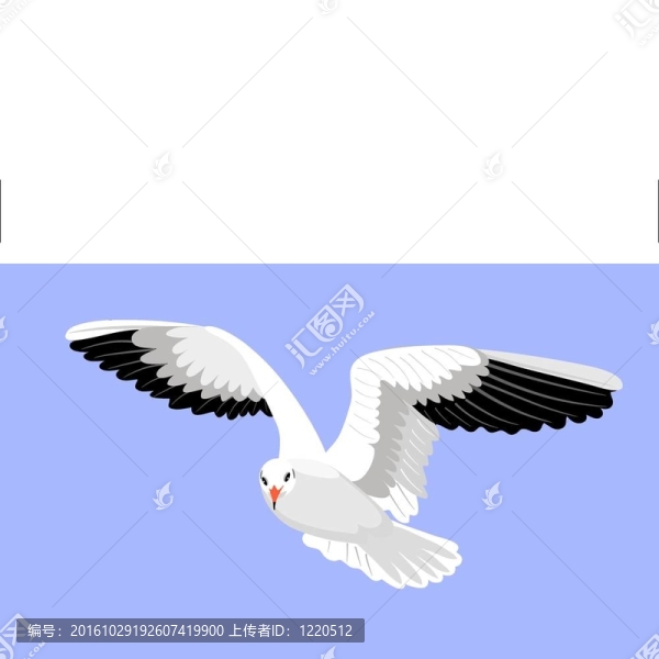 海鷗