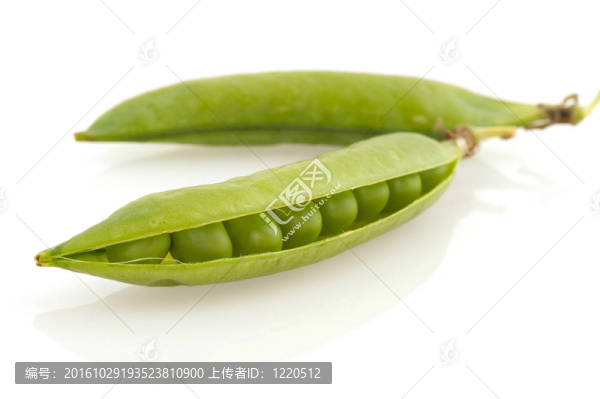 蠶豆