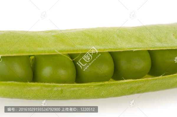蠶豆