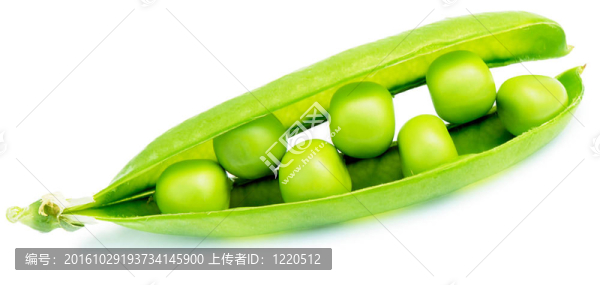 綠色的豌豆莢