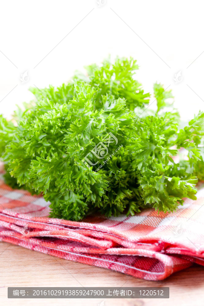 綠色的香菜