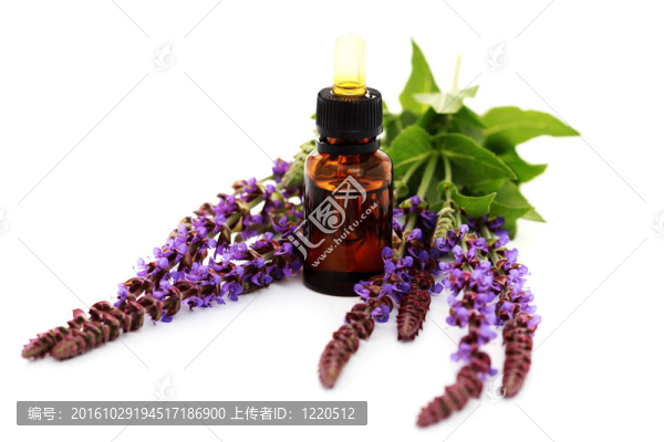 鼠尾草精油
