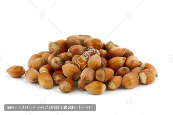 榛