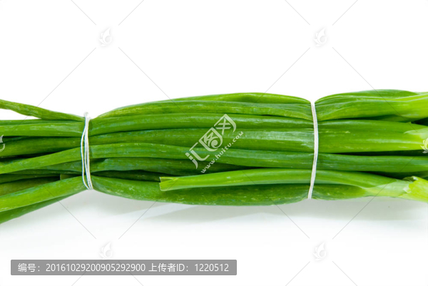 白色背景上的一束蔥